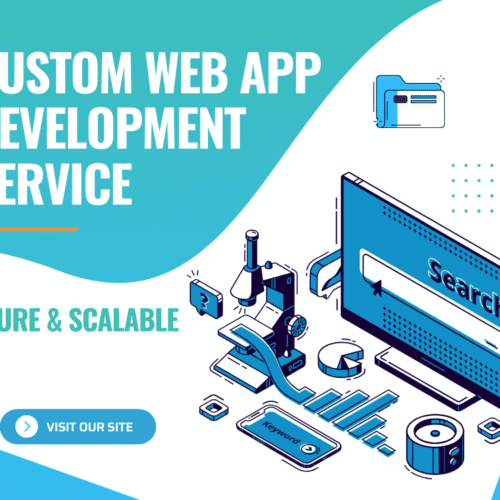 custom web app development