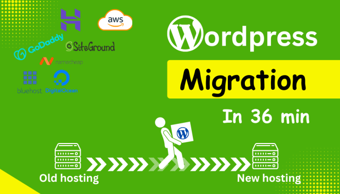 WordPress website migration service