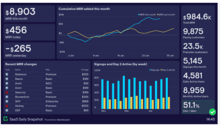 SaaS Application Development Services