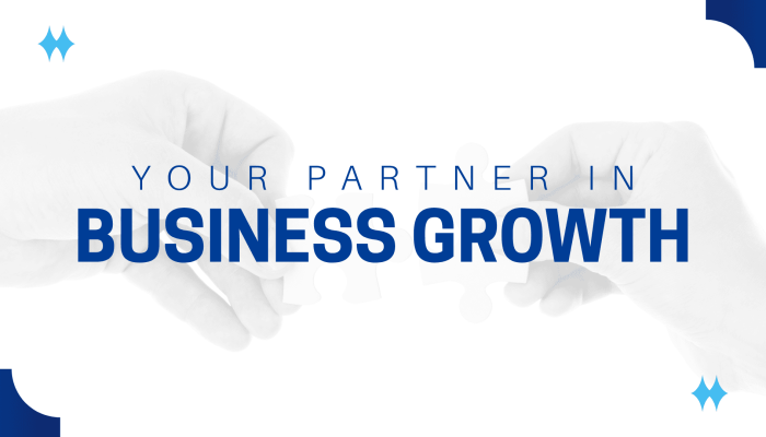 business-growth-consultant