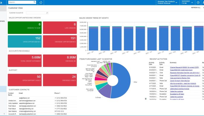 insights-erp-system-dashboards-kpis-figure2
