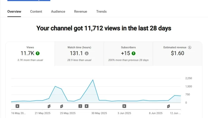 manage-your-youtube-channel